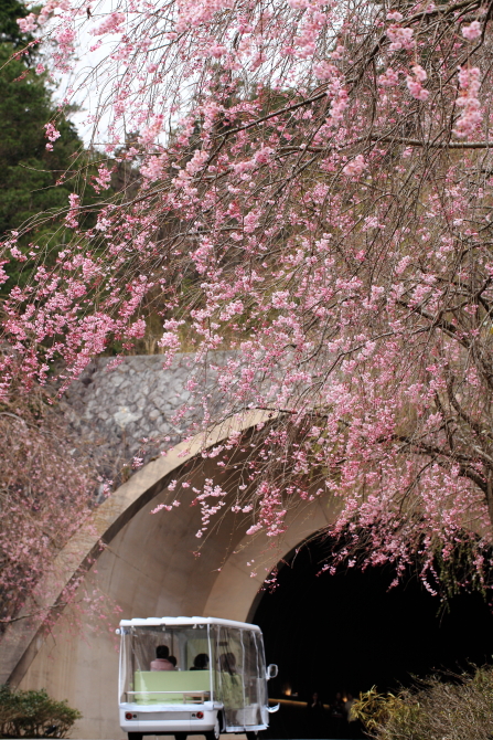 ＊　MIHO MUSEUM _f0225276_18472798.jpg