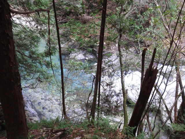 a0118079_0181512.jpg