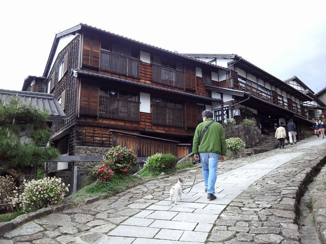 a0118079_032891.jpg
