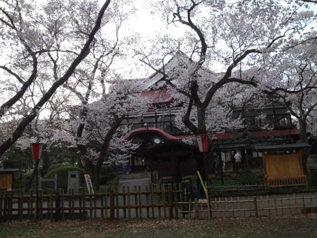 高遠の桜と木曽路_a0118079_04865.jpg