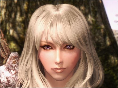 Pc Skyrim 新 使用中mod その1 美顔 美化 編 Beautiful Ones Blog