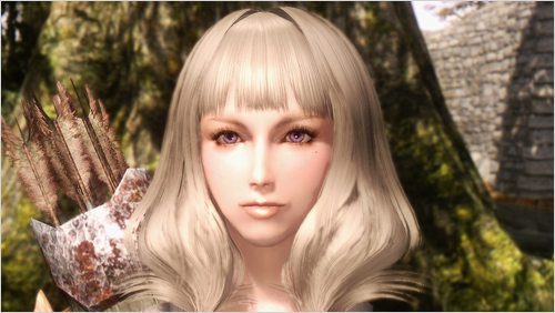 PC SKYRIM 新・使用中MOD その1 美顔(美化)編_e0080379_17748.jpg