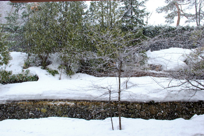 e0068480_2218428.jpg