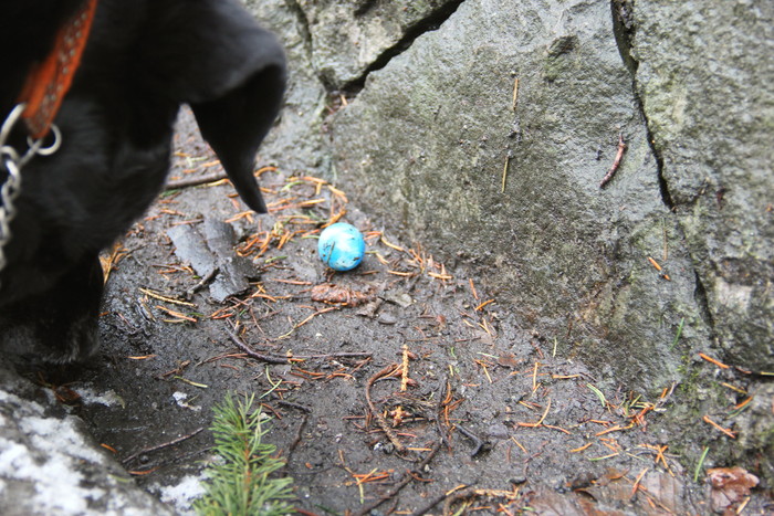 e0068480_22204942.jpg