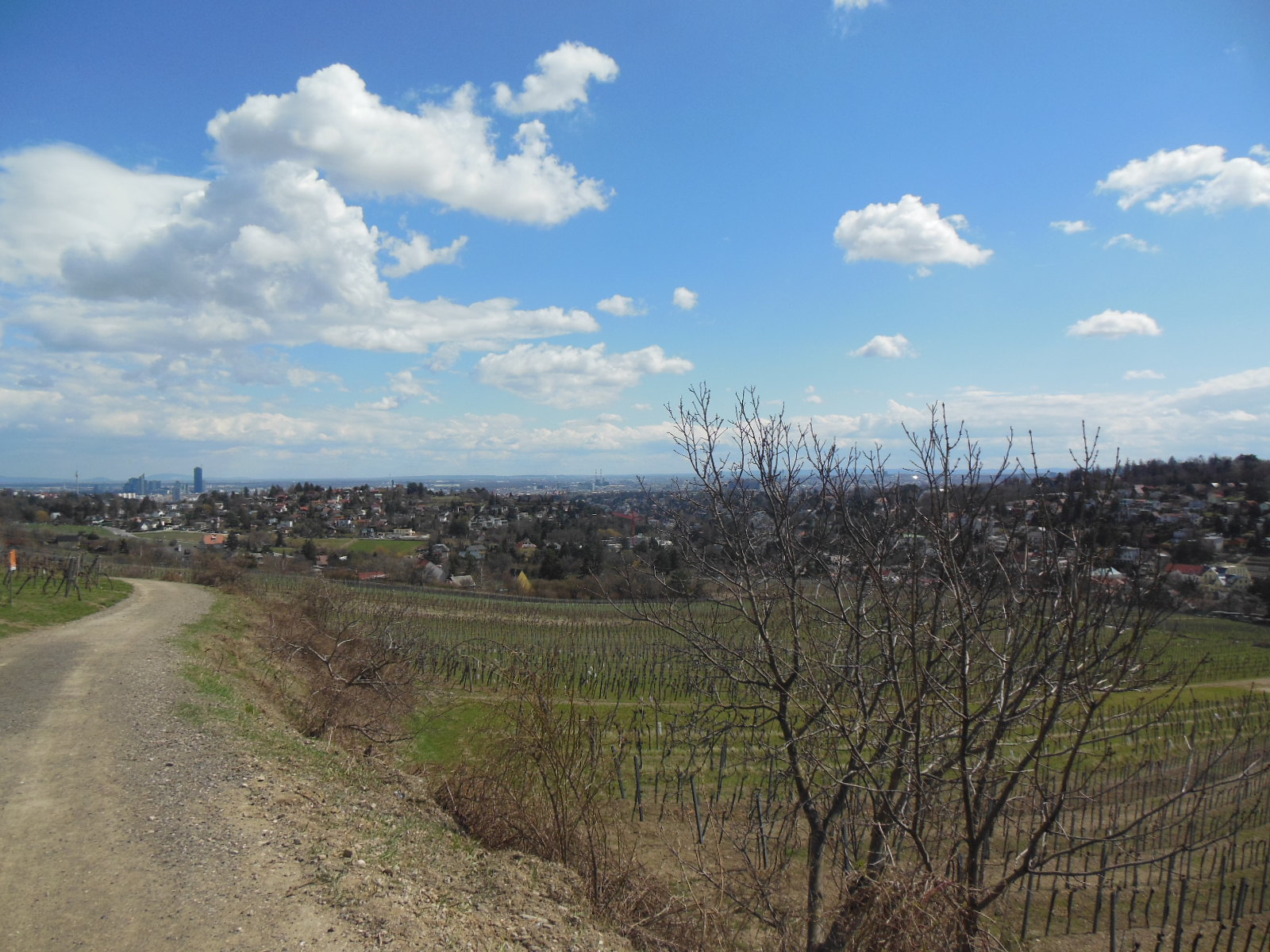 a0080183_6471750.jpg