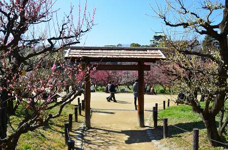 大阪城　梅園_c0229483_19535930.jpg