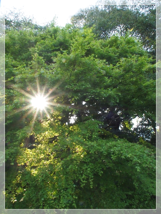 e0027083_14111056.jpg
