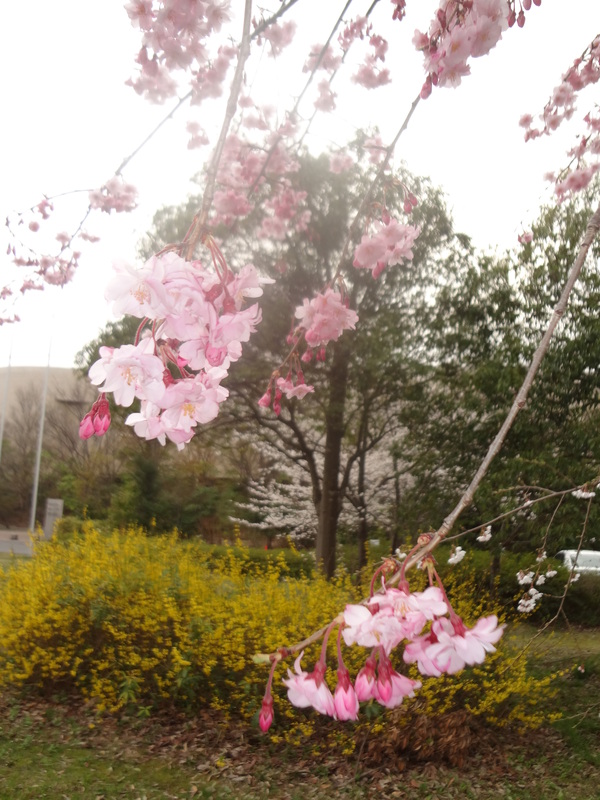b0125384_2182327.jpg