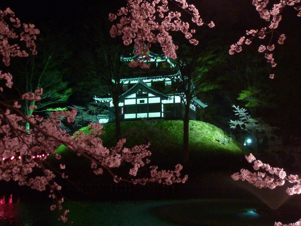 高田の夜桜！２５０４１３_e0065084_17362483.jpg