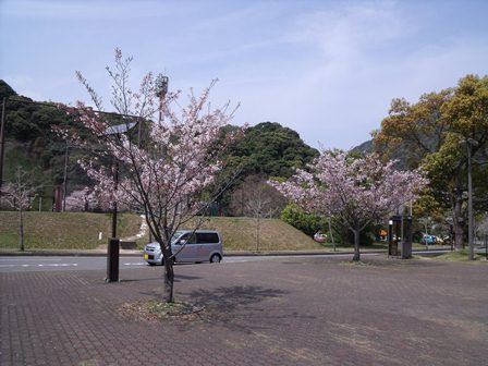 d0129787_1841222.jpg