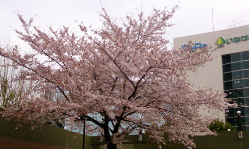 c0047589_21405462.jpg