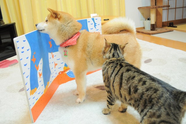 始まります_a0126590_22154057.jpg
