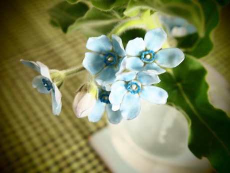 ニヤニヤ。_a0165892_2141891.jpg