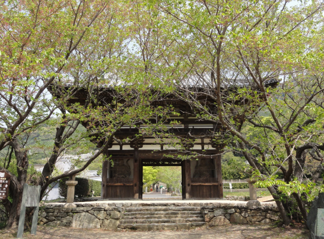 花の寺～長保寺_c0125501_7555751.jpg