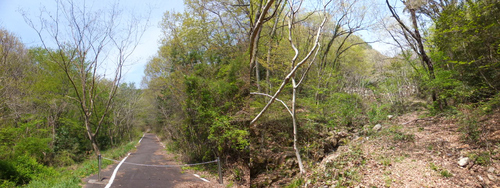 a0271502_105193.jpg