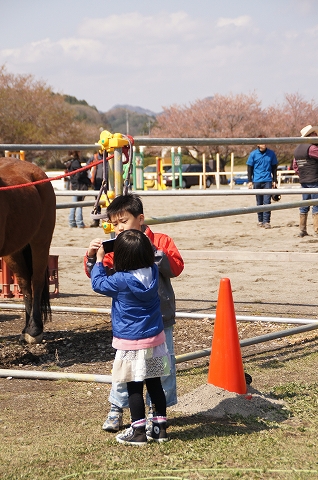b0147203_20301066.jpg