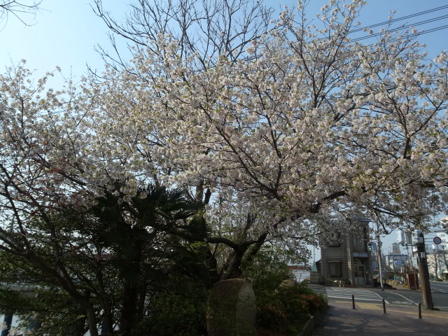 f0197703_11103727.jpg