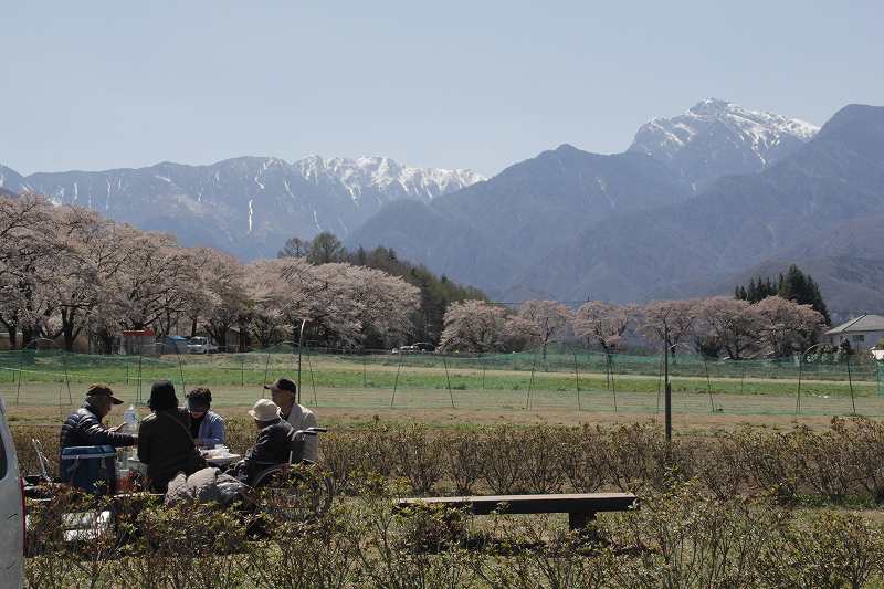 桜を追掛けて北に～①_a0188405_19104198.jpg