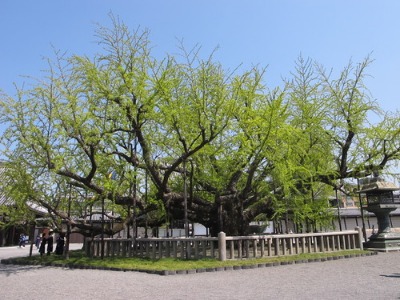 c0178009_2122863.jpg