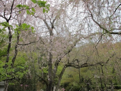 c0178009_21352134.jpg