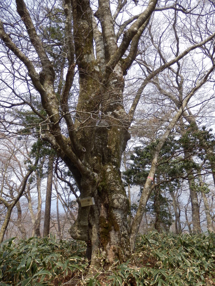 f0219710_8164335.jpg