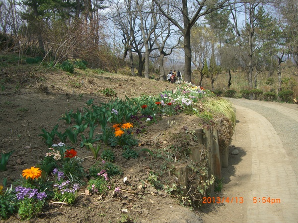 e0309011_11221956.jpg