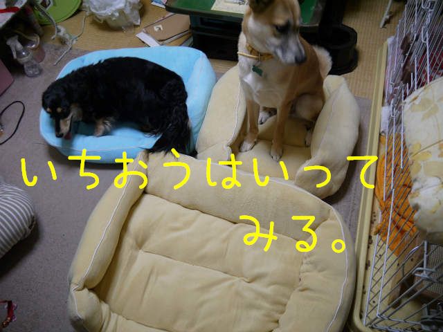 f0218911_1723730.jpg