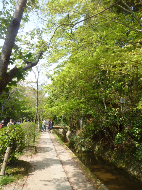 本日の京都の桜情報です_a0162815_21222564.jpg