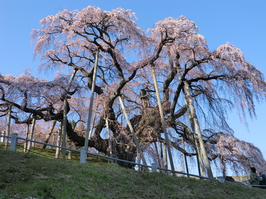 桜を追いかけて。福島再会ツーリング♪_d0221319_1154411.jpg