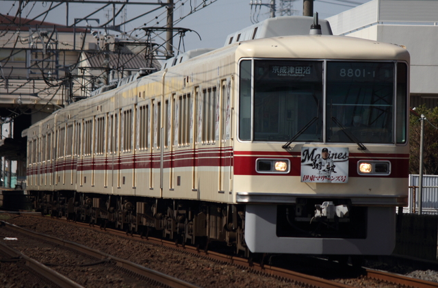 f0275726_438176.jpg