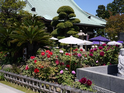 f0232136_11263985.jpg
