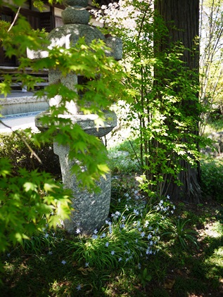 f0232136_1130035.jpg