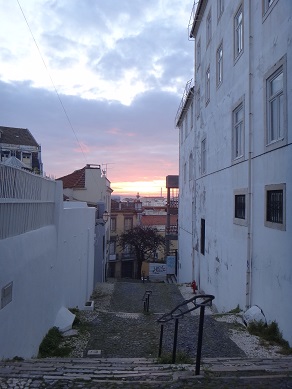 e0238838_25621.jpg