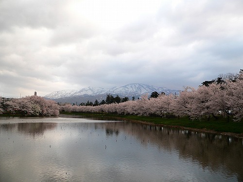 高田城百万人観桜会　2010_f0029038_2244399.jpg