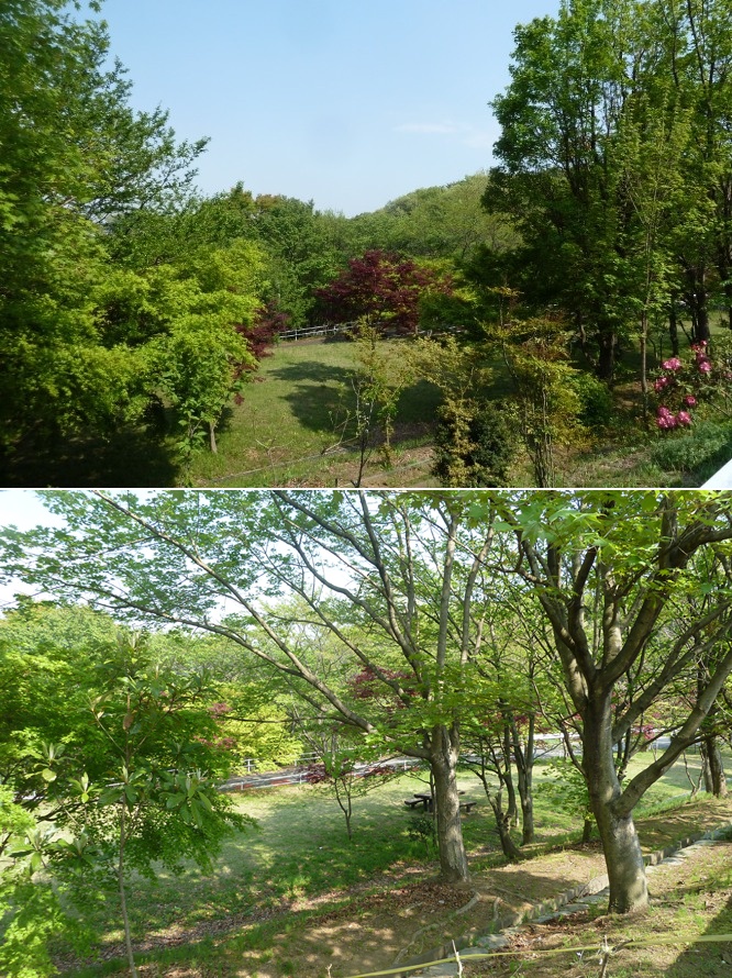 町田市の現場☆お引き渡し間近です_c0152341_23383958.jpg
