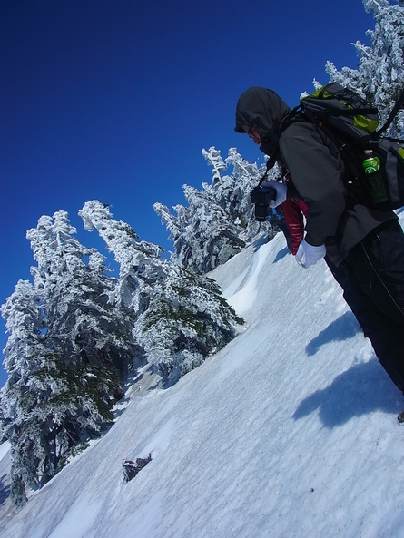 お山の観察会#3 下山編_b0207642_10495911.jpg