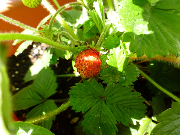 e0009547_23204911.jpg