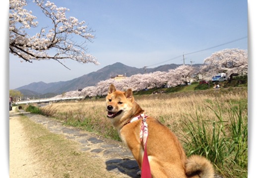 2か月ぶり_c0049950_10124496.jpg