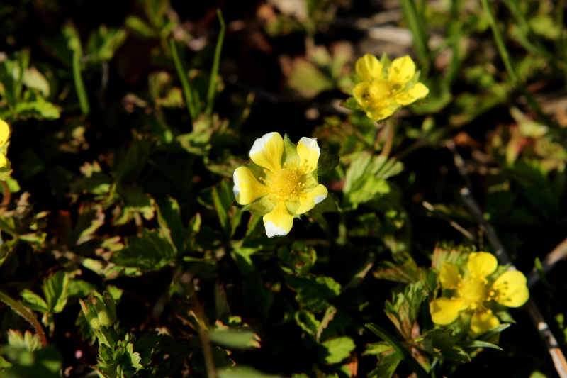 c0272958_20573745.jpg