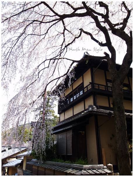 京都、春色々_a0114060_22534839.jpg