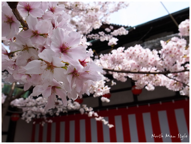 京都、春色々_a0114060_22535216.jpg