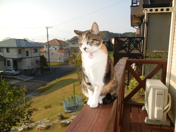 ’13,4,15(月)庭仕事びより~!_f0060461_2019038.jpg
