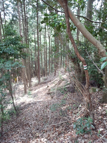 d0227362_22207.jpg
