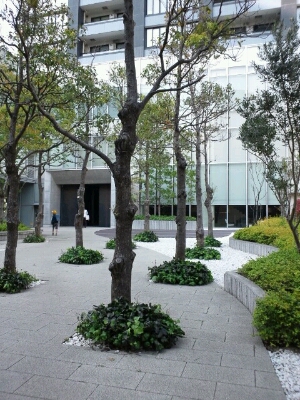 b0108363_20544272.jpg