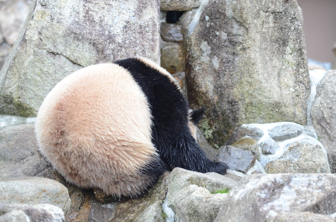 b0286966_22104028.jpg