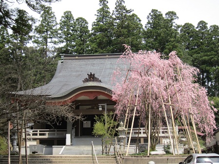 安居寺のしだれ桜_a0075779_1563792.jpg