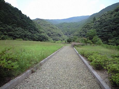 メルヘン・ダム (鳴淵ダム)_b0005281_1844652.jpg