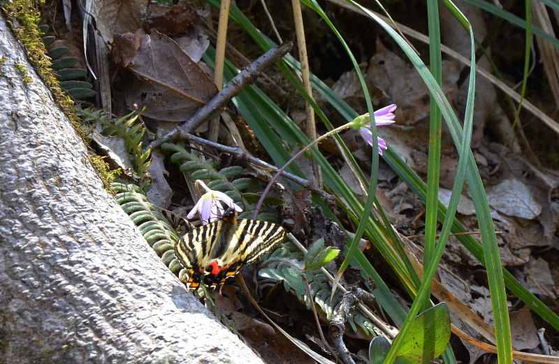 b0078795_8283923.jpg