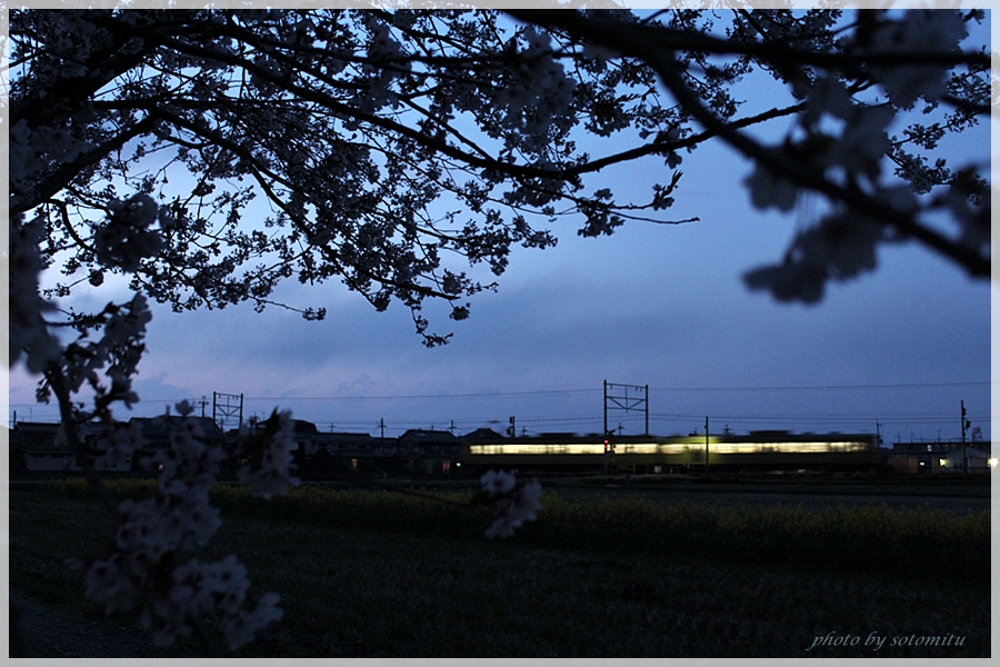 今日の桜－撮り鉄気分－_b0166896_23474386.jpg