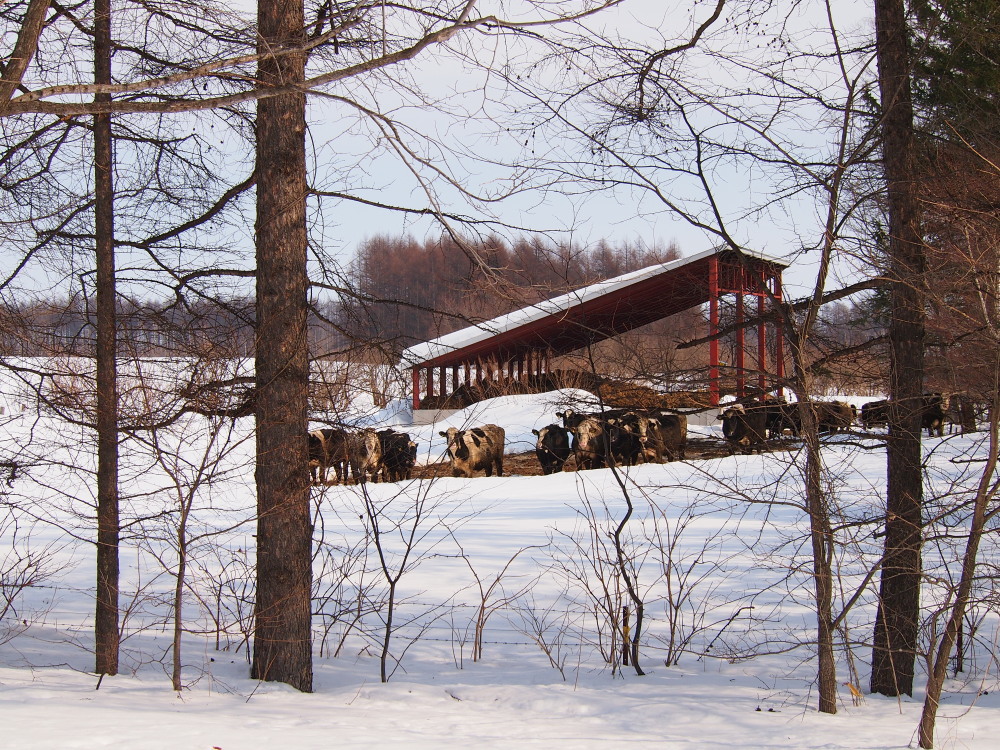 春を待つ”更別村の農村風景”を散策しています。~その2~_f0276498_2339844.jpg